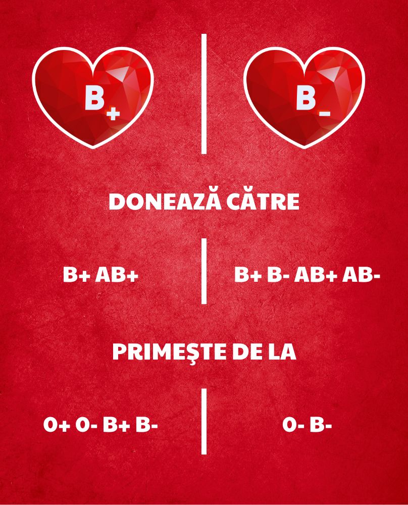 Insert comp grupa B